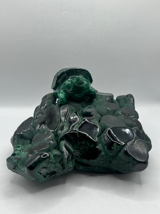 5.38 kg- Polished Stalactitic Malachite with Mounted Turtle (Zambia)