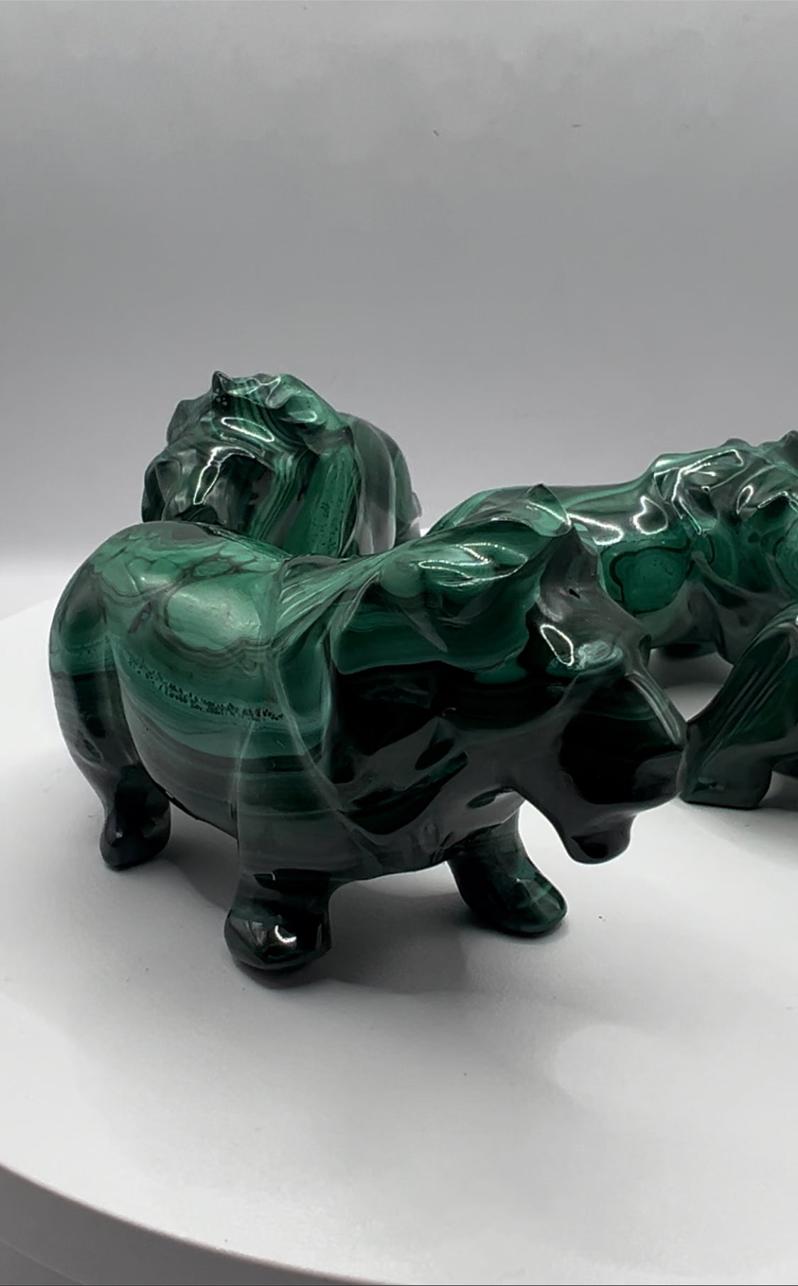 Malachite Lion