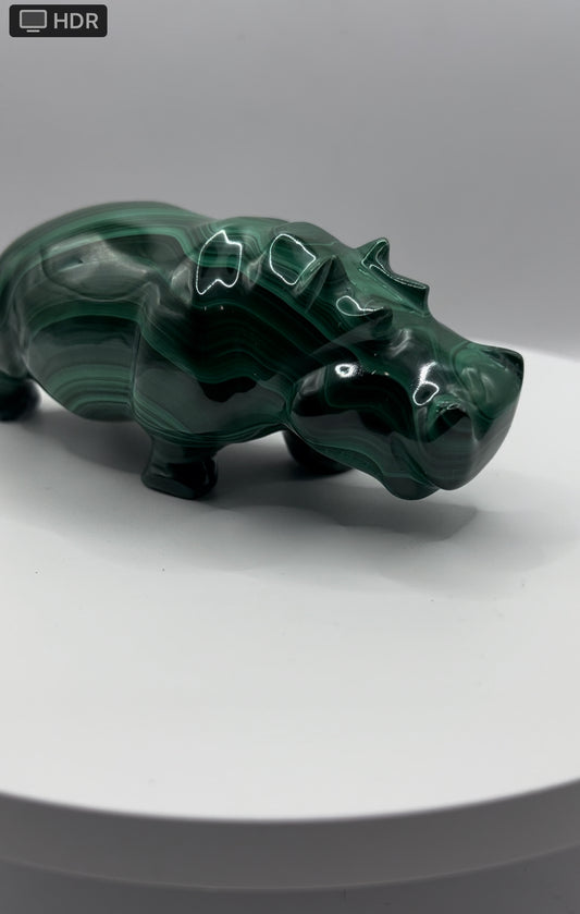 Malachite Hippopotamus (657 grams)