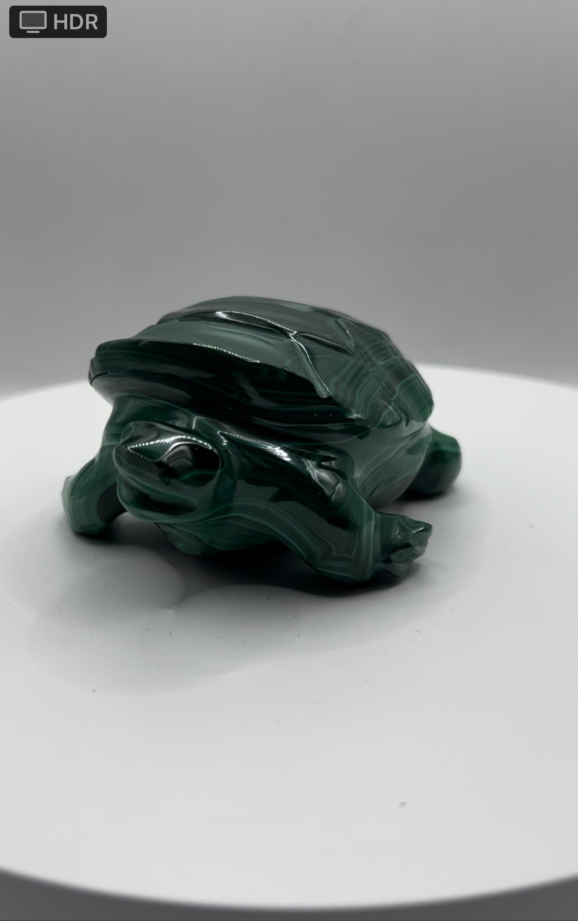 Malachite Turtle (549 grams)