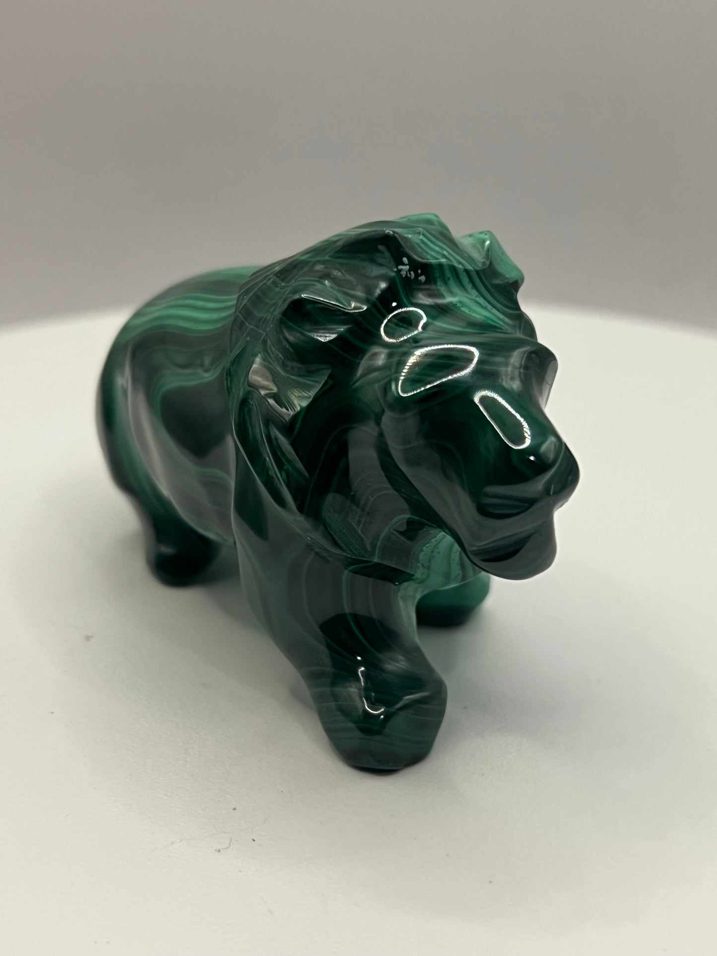 Malachite Lion