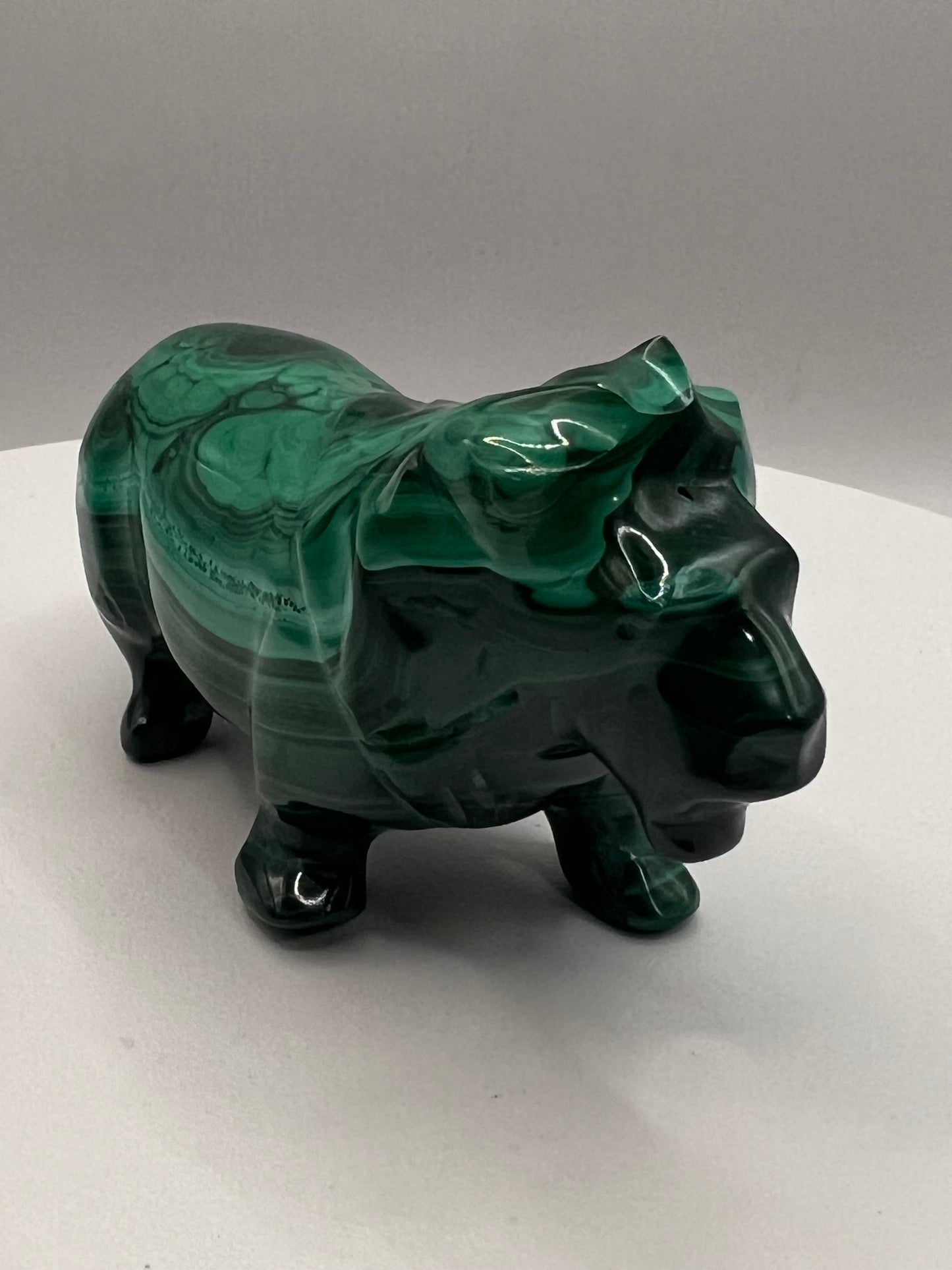 Malachite Lion