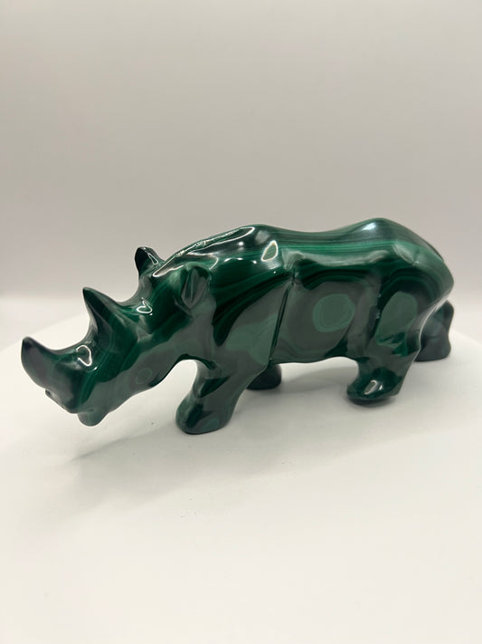 Malachite Rhinoceros