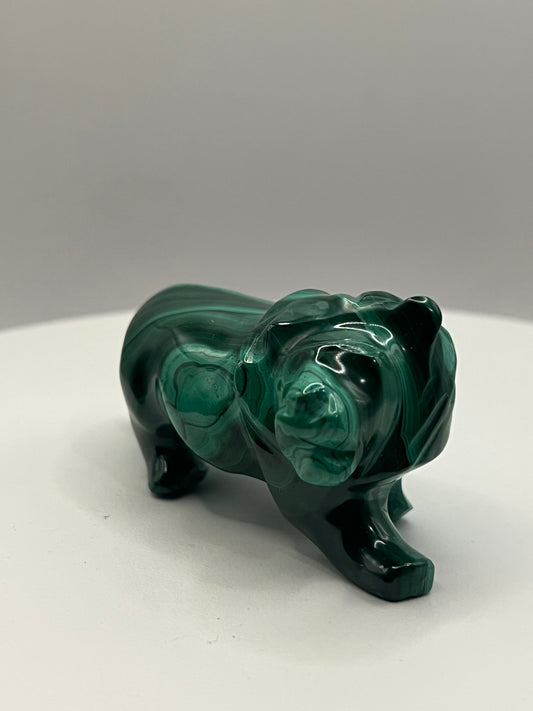 Malachite Lion